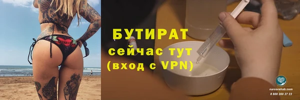 крисы Тында