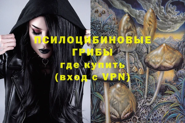 крисы Тында