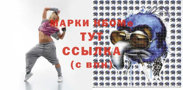 крисы Тында