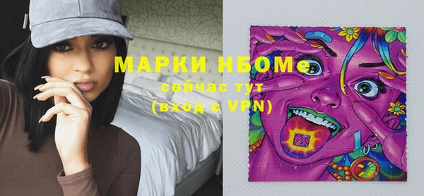 крисы Тында