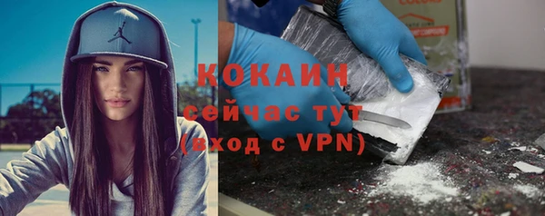 мет Туринск